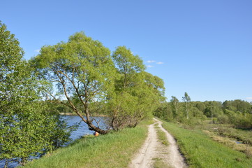 Obraz premiumЛето