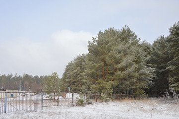 Брянская природа