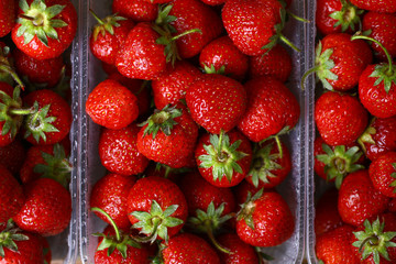 Fresh strawberries in a plastic bowl on wooden background