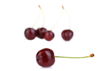Fresh sweet cherries isolated on a white background