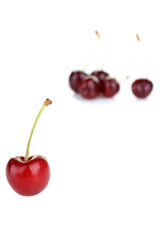 Fresh sweet cherries isolated on a white background