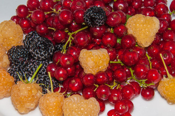 Yellow raspberries and red currants and blackberries