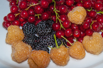 Yellow raspberries and red currants and blackberries