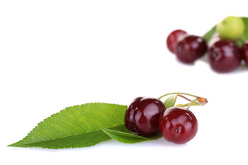 Fresh sweet cherries isolated on a white background