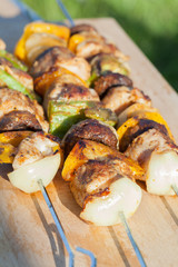 Grilled skewers with turkey, peppers and mushrooms.