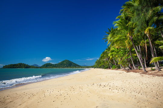 Palm Trees On The Tropical Beach, Palm Cove, Australia