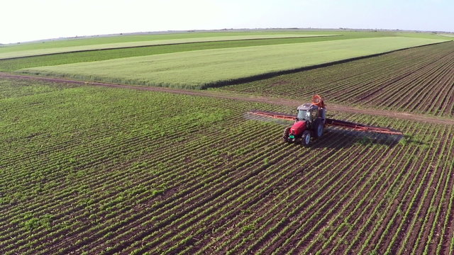Tractor sprinkles the soybean field with chemicals in sunny spring day. Aerial footage