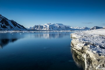 Arctic spring in south Spitsbergen © KrisGrabiec