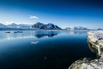 Arctic spring in south Spitsbergen © KrisGrabiec