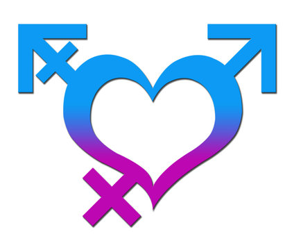 Third Gender Heart Blue Pink
