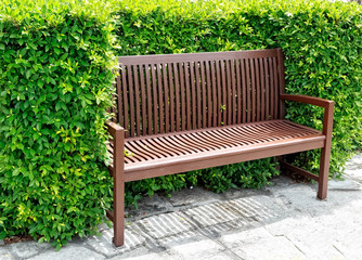 Wooden Bench in the Garden
