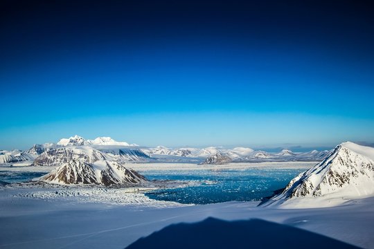 Arctic spring in south Spitsbergen