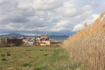 vista de campos sembrados