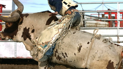 Bull riding, slow motion