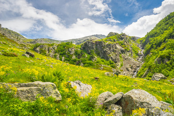 Alpine landscape in spring and summer