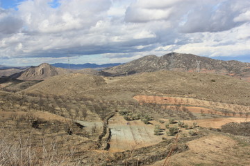 Campos sembrados y frutales en Aluenda. Zaragoza