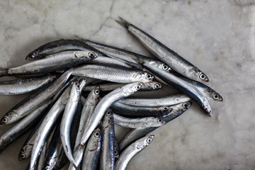 anchovies on a marble background, acciughe