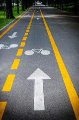 Arrow pointing a bike on a bicycle track
