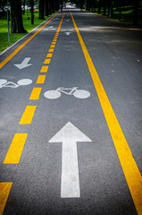 Fototapeta premium Arrow pointing a bike on a bicycle track