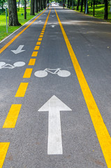 Arrow pointing a bike on a bicycle track