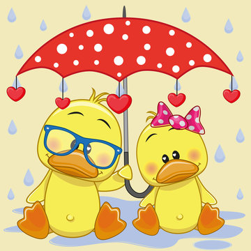 Two Ducks with umbrella