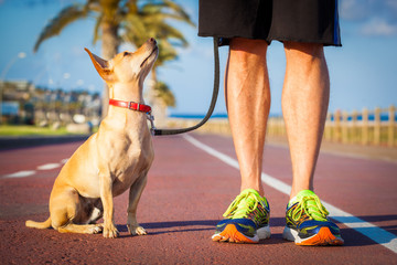 Dog and owner walking