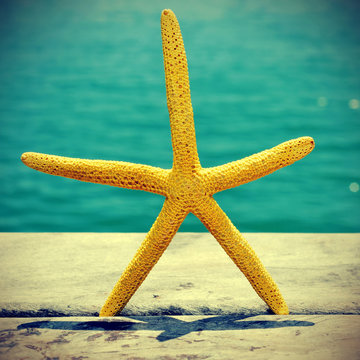 starfish on an old wooden pier on the sea, with a retro effect