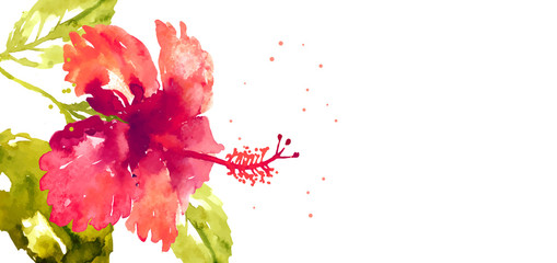 Vector background with red watercolor hibiscus © jet