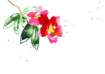 Vector background with red watercolor camellias