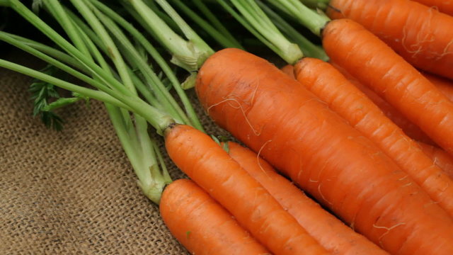 Fresh organic carrots