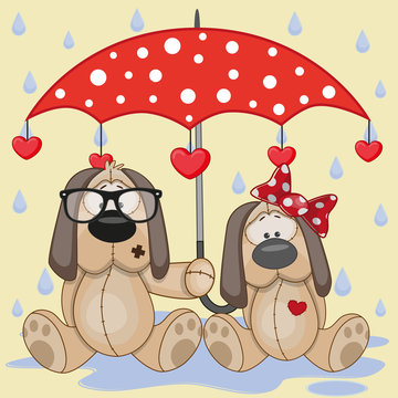Two Dogs with umbrella