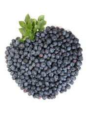 Blueberry