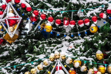 Fototapeta premium Christmas tree,