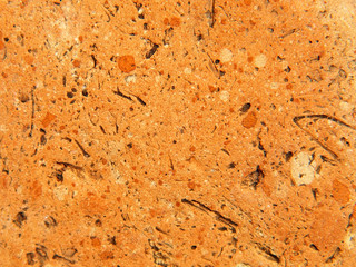 Red limestone texture.Background.