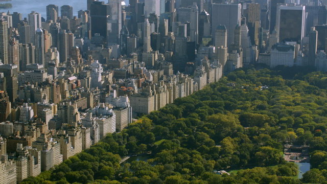 Aerial shot of Central Park, New York City