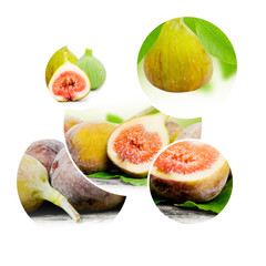 Fig mix