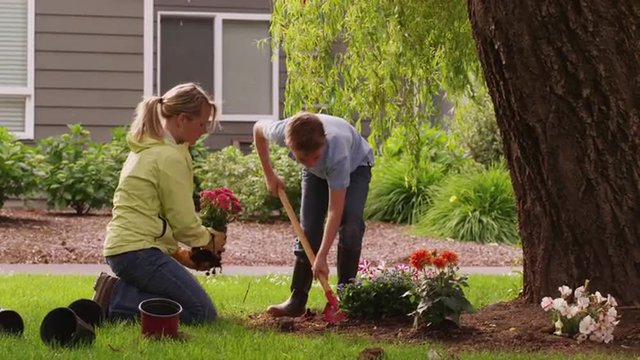 Mother and son planting flowers in yard