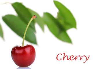 Cherry isolated