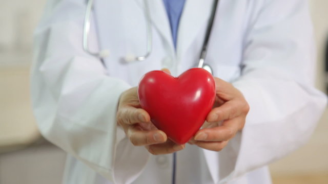 Doctor holding heart in hands