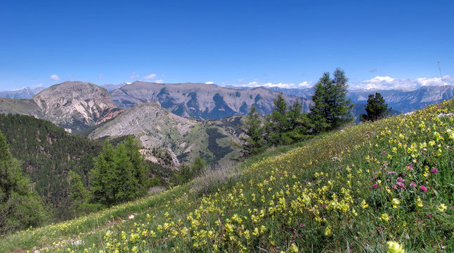 Massif des Monges , cr&ecirc;te de Geruen, alpes de hautes -provence