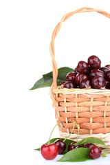 Cherries in a basket isolated