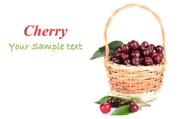 Cherries in a basket isolated