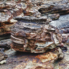 Rocks on a Shore