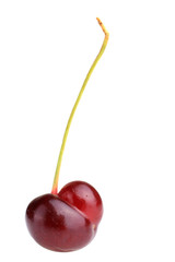 Cherry isolated