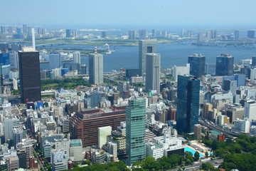 Fototapeta na wymiar Tokyo bay from above
