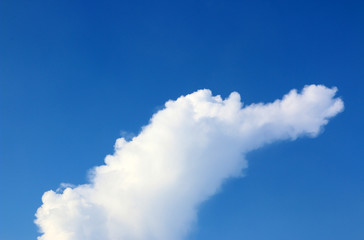 Few clouds floating in the sky.