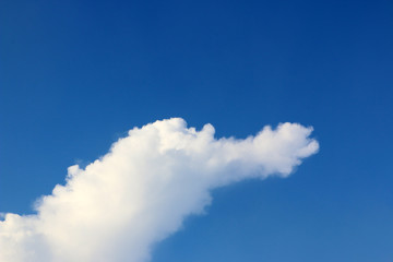 Big Cloud in the morning that looked like animals. © Gukai Graphic