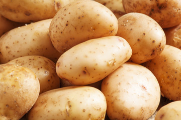 Fresh potatoes in an old wooden table, selective focus