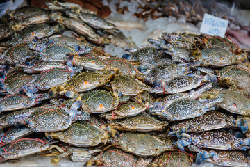 sea crab fresh seafood in market of Thailand