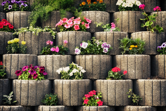 Fototapeta Stone Flowerbed Wall